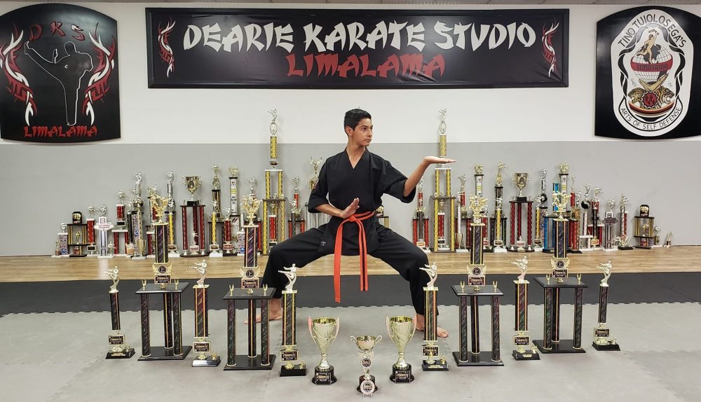 Adult Martial Art Classes