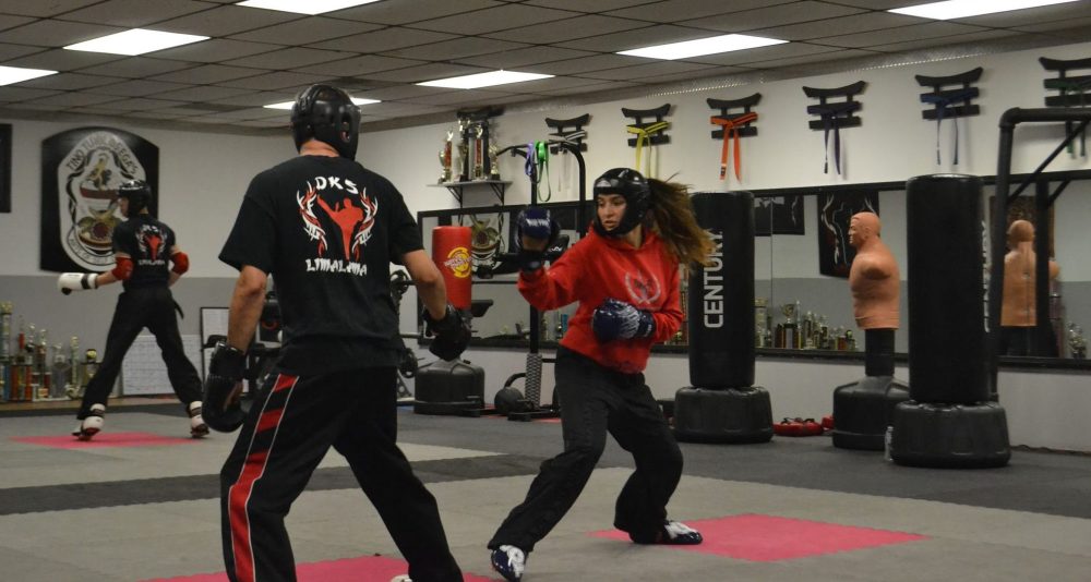 Adult Martial Arts Training